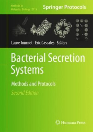 Knjiga Bacterial Secretion Systems Laure Journet