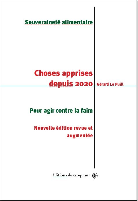 Könyv Choses apprises depuis 2020 Le Puill