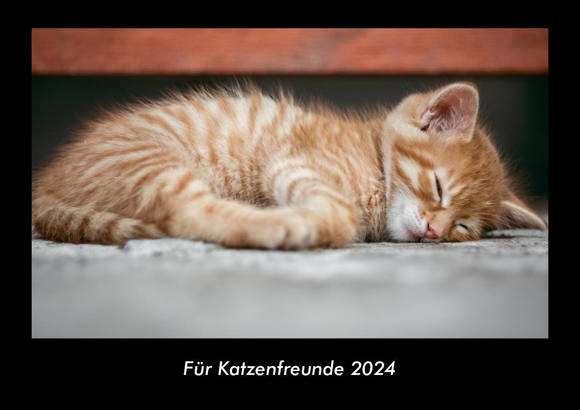 Kalendář/Diář Für Katzenfreunde 2024 Fotokalender DIN A3 