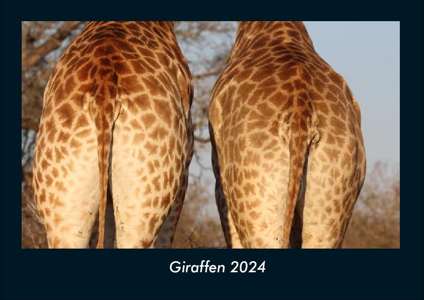 Calendar / Agendă Giraffen 2024 Fotokalender DIN A4 