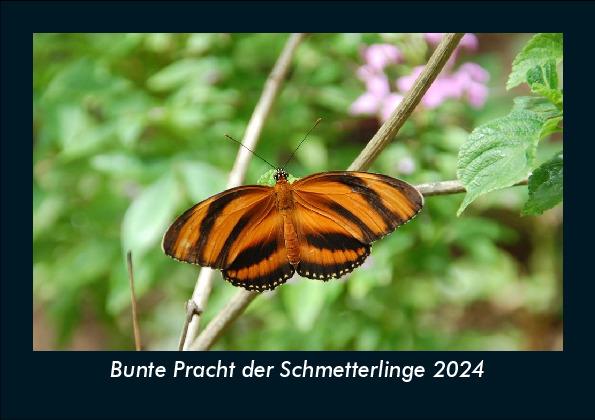 Naptár/Határidőnapló Bunte Pracht der Schmetterlinge 2024 Fotokalender DIN A5 