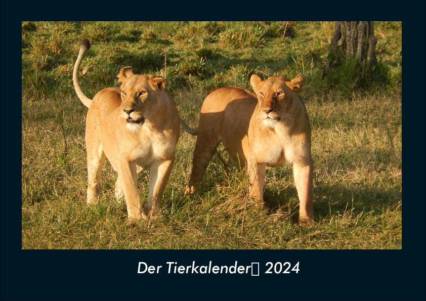 Kalendář/Diář Der Tierkalender 2024 Fotokalender DIN A4 
