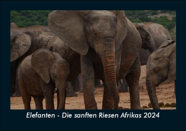 Kalendár/Diár Elefanten - Die sanften Riesen Afrikas 2024 Fotokalender DIN A5 