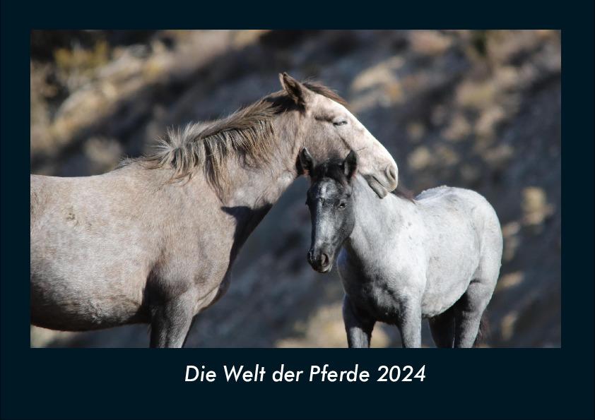 Kalendář/Diář Die Welt der Pferde 2024 Fotokalender DIN A4 