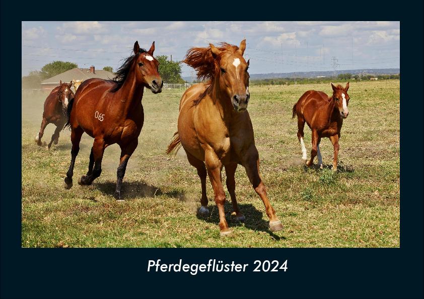 Kalender/Terminbuch Pferdegeflüster 2024 Fotokalender DIN A4 