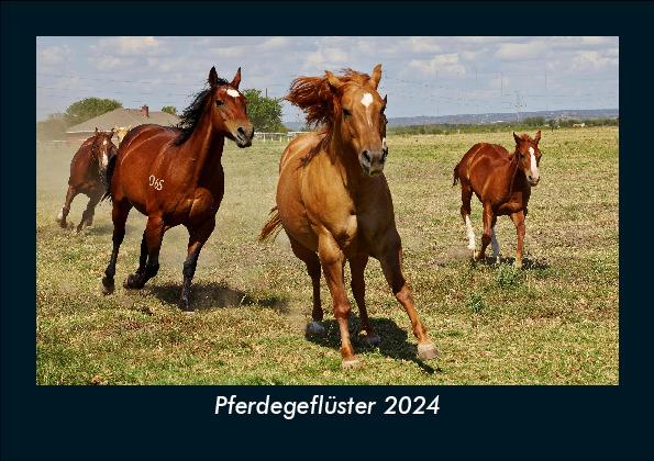 Naptár/Határidőnapló Pferdegeflüster 2024 Fotokalender DIN A5 