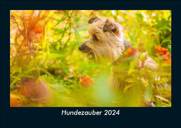 Naptár/Határidőnapló Hundezauber 2024 Fotokalender DIN A5 