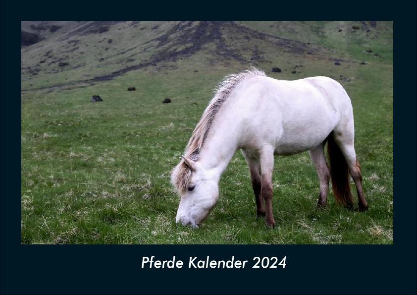 Naptár/Határidőnapló Pferde Kalender 2024 Fotokalender DIN A4 