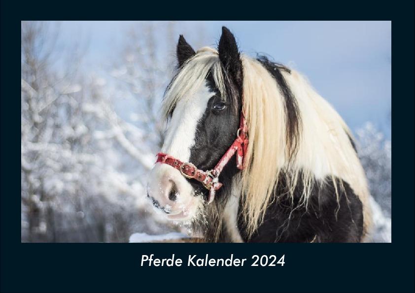 Naptár/Határidőnapló Pferde Kalender 2024 Fotokalender DIN A4 