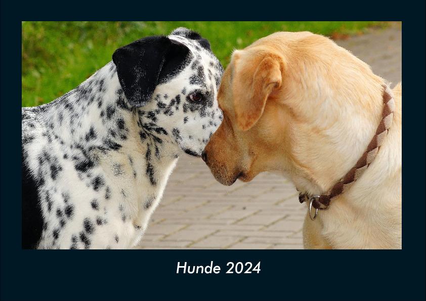 Kalender/Terminbuch Hunde 2024 Fotokalender DIN A4 