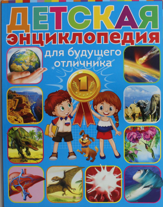 Könyv Детская энциклопедия для будущего отличника 