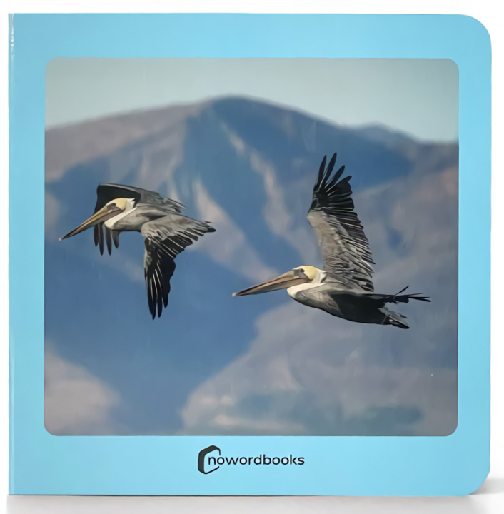Buch Aves 