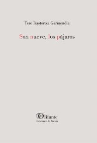 Boek Son nueve, los pájaros IRASTORTZA