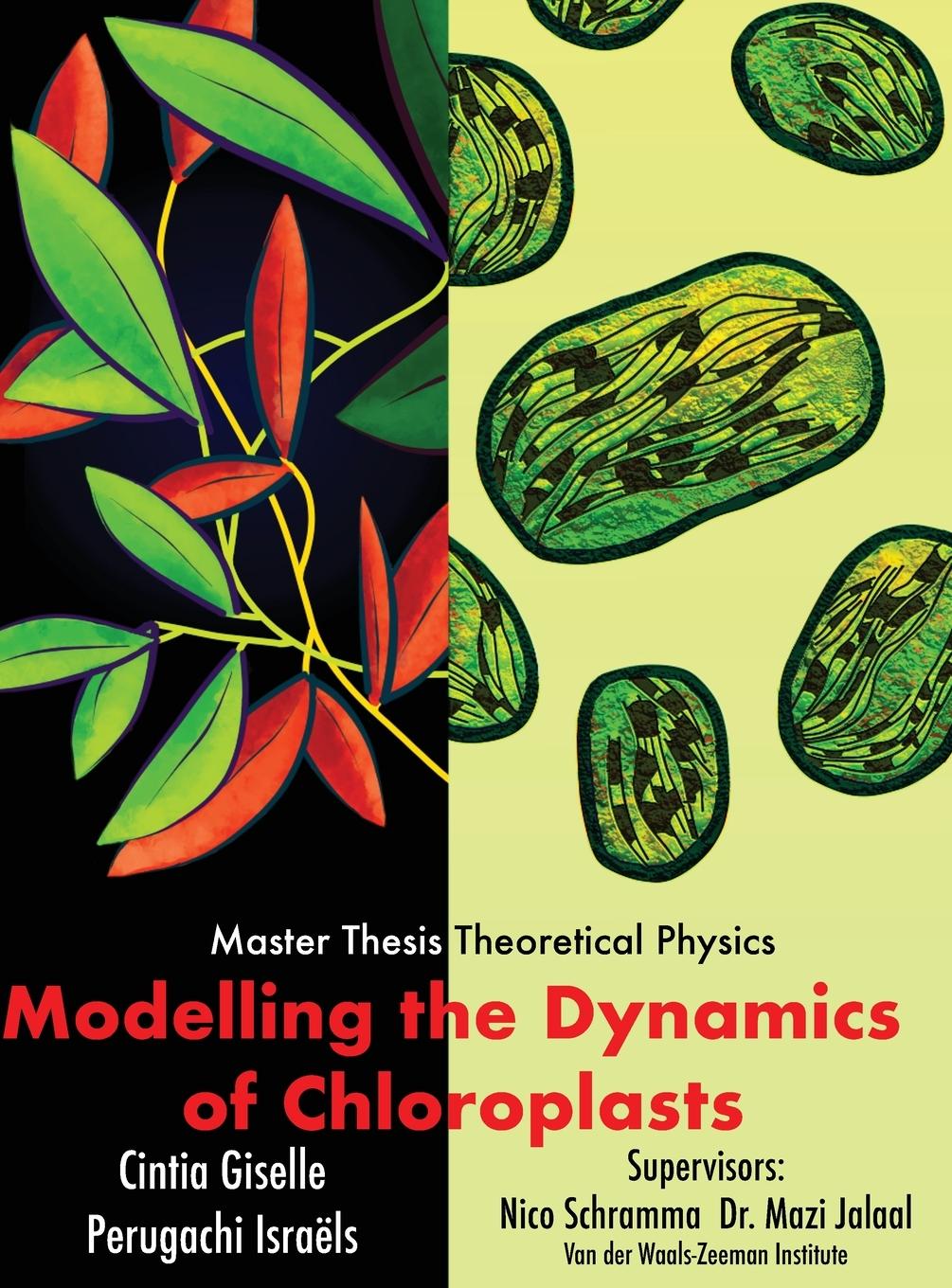 Kniha Modelling the dynamics of chloroplasts Tim Veenstra