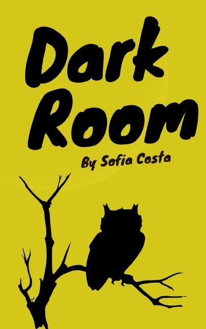 Knjiga Dark Room Sofia Costa