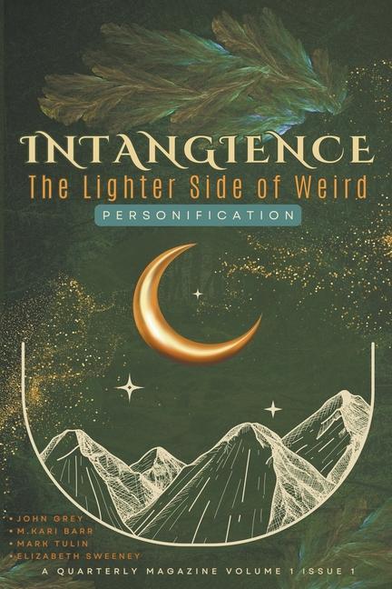 Knjiga Intangience M. Kari Barr