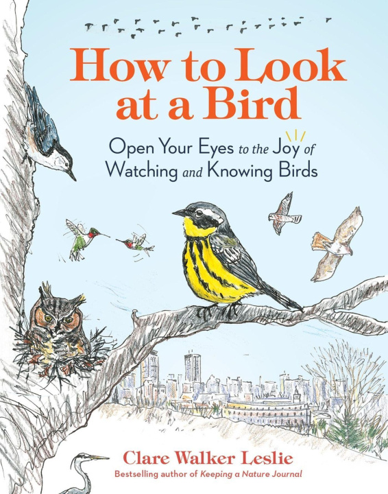 Carte How to Look at a Bird: Open Your Eyes to the Joy of Watching and Knowing Birds 