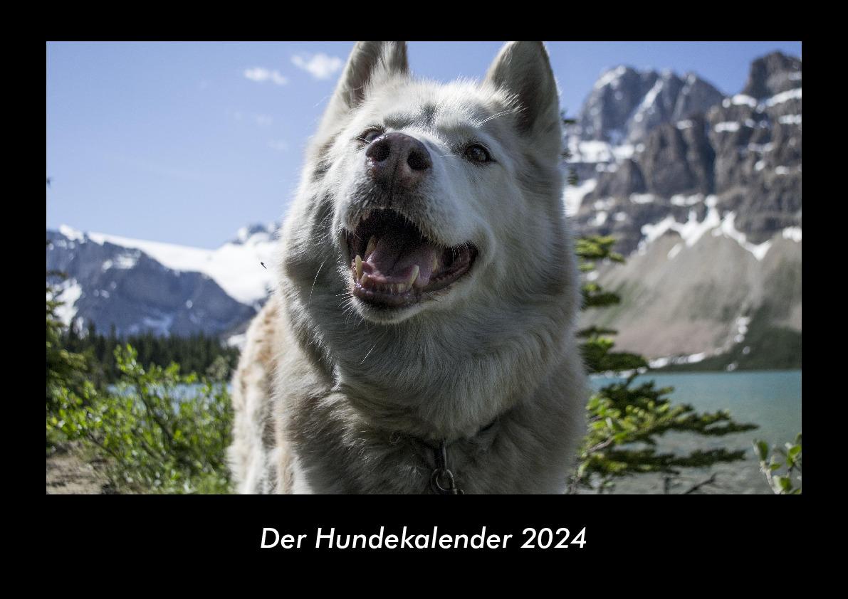 Naptár/Határidőnapló Der Hundekalender 2024 Fotokalender DIN A3 