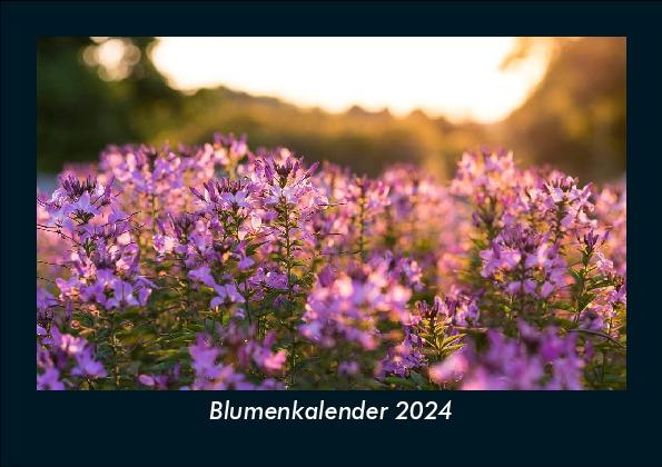 Kalendář/Diář Blumenkalender 2024 Fotokalender DIN A5 