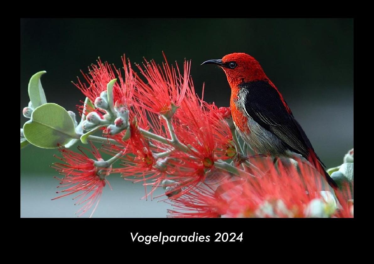 Kalendář/Diář Vogelparadies 2024 Fotokalender DIN A3 