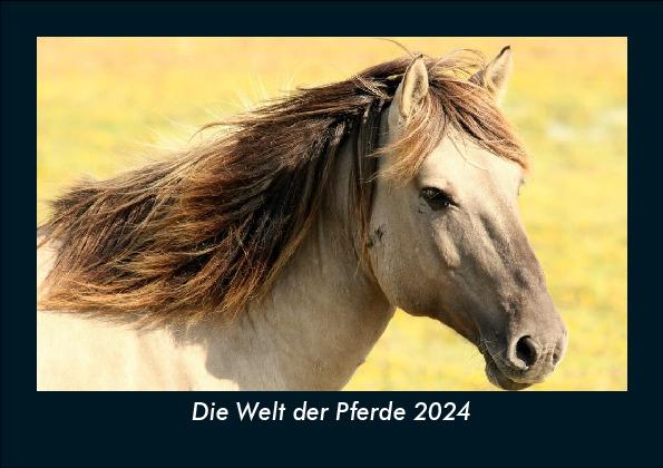 Naptár/Határidőnapló Die Welt der Pferde 2024 Fotokalender DIN A5 