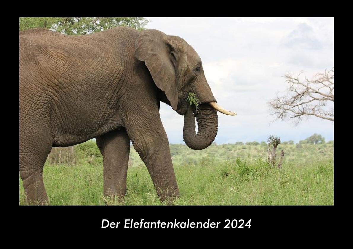 Calendar / Agendă Der Elefantenkalender 2024 Fotokalender DIN A3 