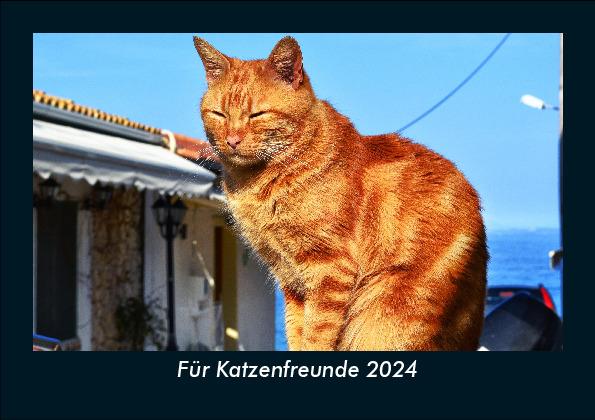 Calendar / Agendă Für Katzenfreunde 2024 Fotokalender DIN A5 