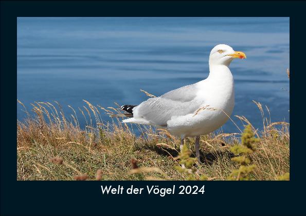 Calendar / Agendă Welt der Vögel 2024 Fotokalender DIN A5 