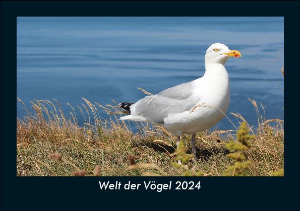 Kalendář/Diář Welt der Vögel 2024 Fotokalender DIN A5 