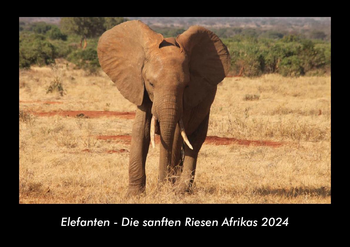 Календар/тефтер Elefanten - Die sanften Riesen Afrikas 2024 Fotokalender DIN A3 