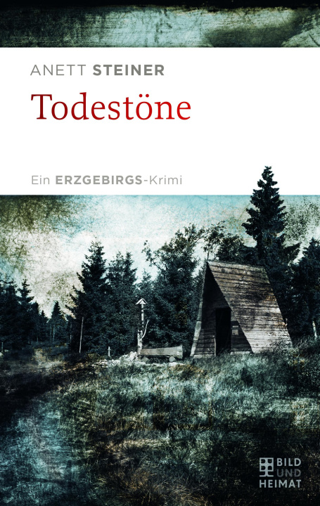 Book Todestöne Anett Steiner