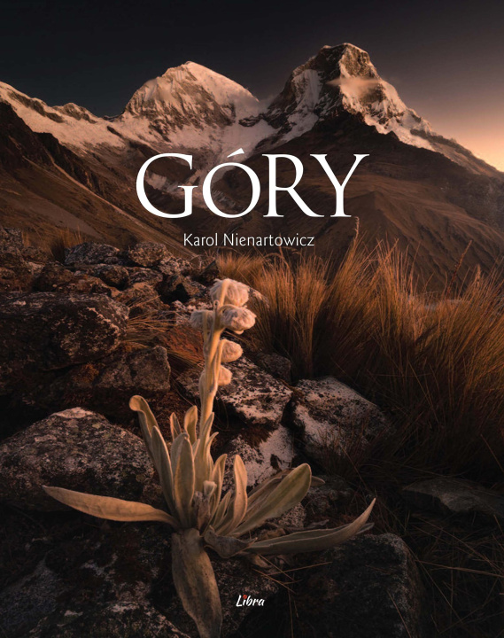 Книга Góry Nienartowicz Karol