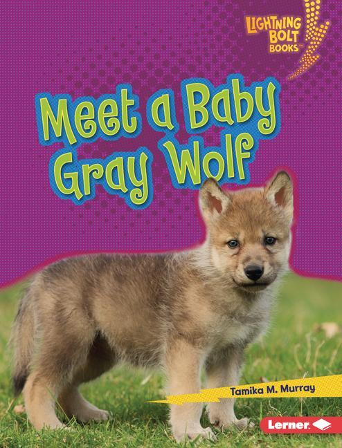 Knjiga Meet a Baby Gray Wolf 