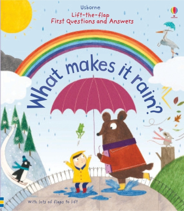 Kniha First Questions and Answers: What Makes It Rain? Christine Pym