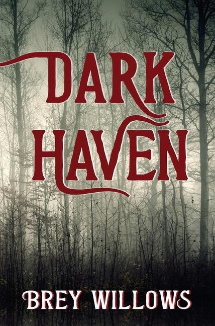 Knjiga Dark Haven Brey Willows