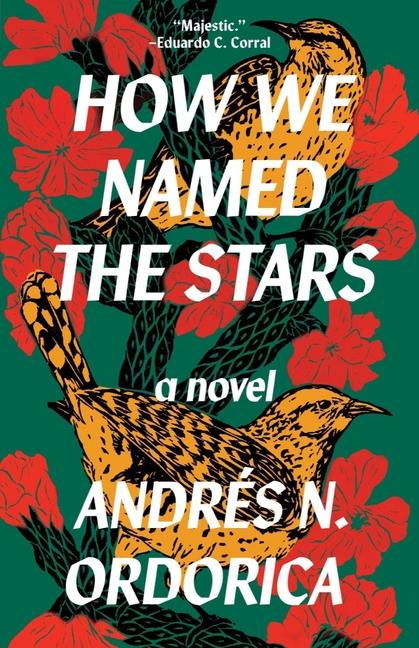 Kniha How We Named the Stars 