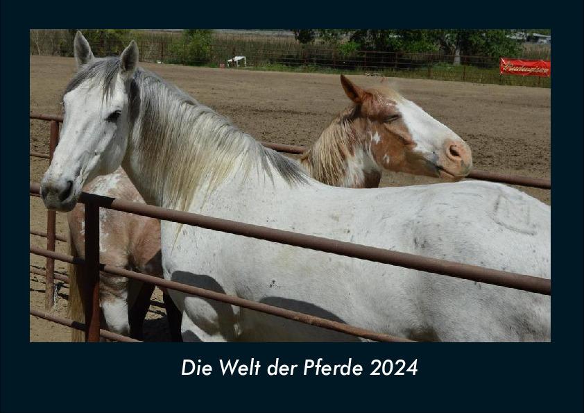 Calendar / Agendă Die Welt der Pferde 2024 Fotokalender DIN A4 