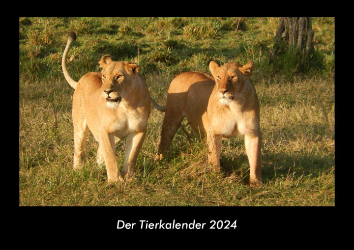 Kalendár/Diár Der Tierkalender 2024 Fotokalender DIN A3 