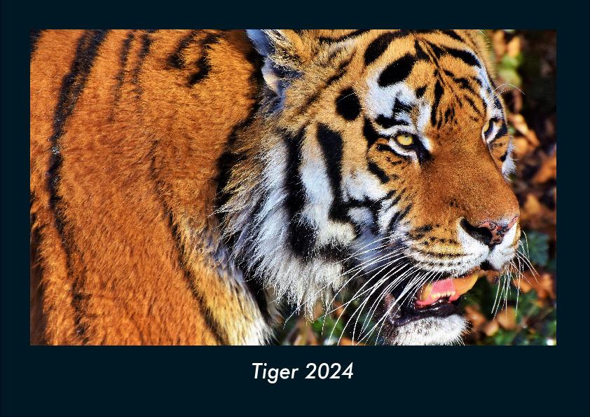 Calendar / Agendă Tiger 2024 Fotokalender DIN A4 