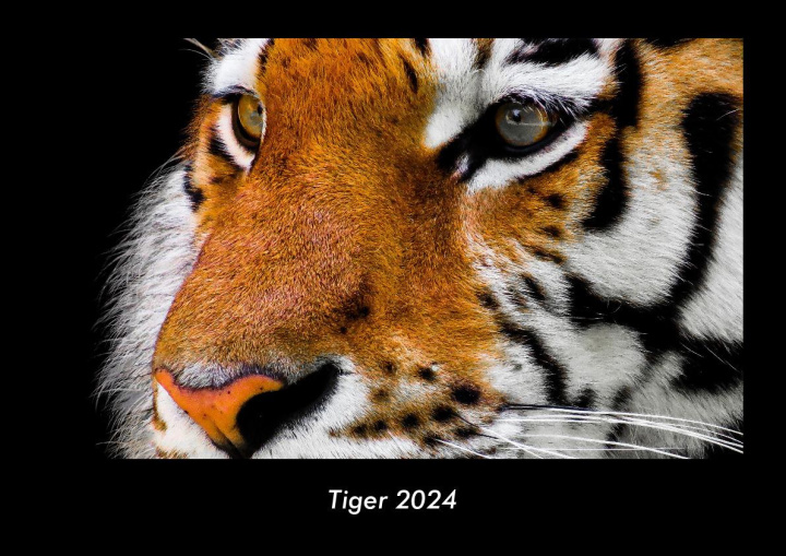 Naptár/Határidőnapló Tiger 2024 Fotokalender DIN A3 