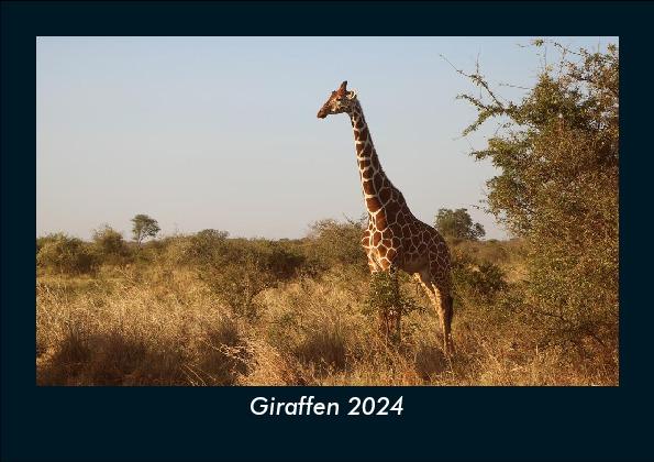 Kalendář/Diář Giraffen 2024 Fotokalender DIN A5 