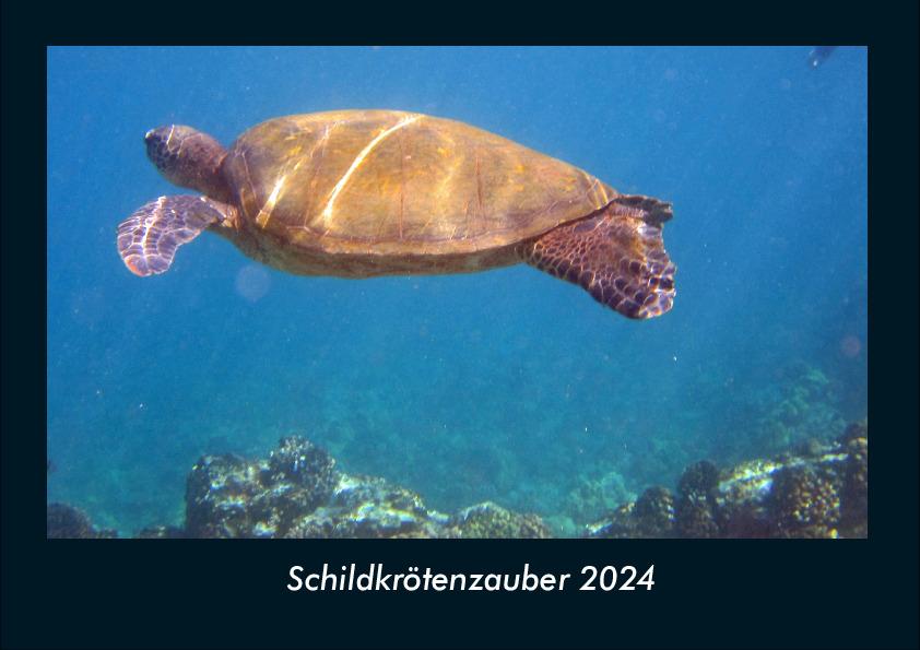 Kalendář/Diář Schildkrötenzauber 2024 Fotokalender DIN A4 