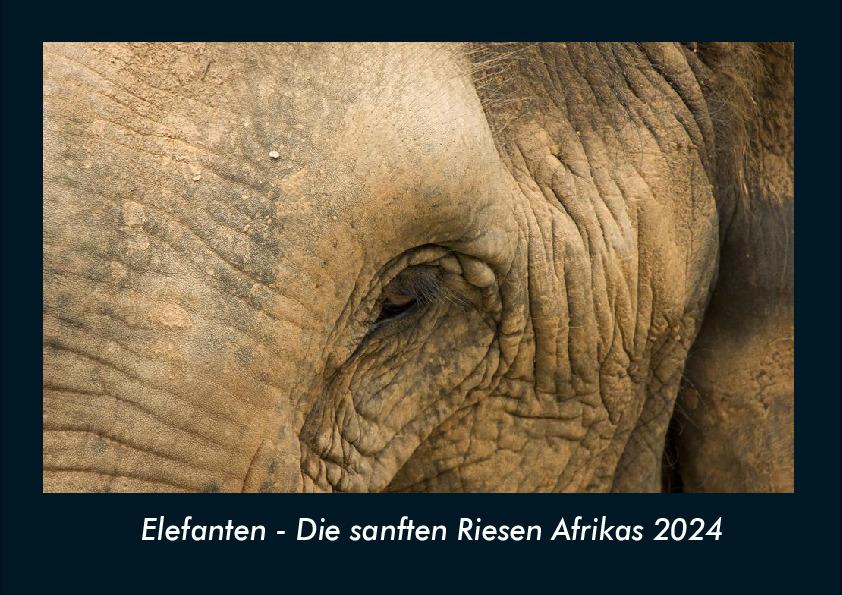 Kalendarz/Pamiętnik Elefanten - Die sanften Riesen Afrikas 2024 Fotokalender DIN A4 