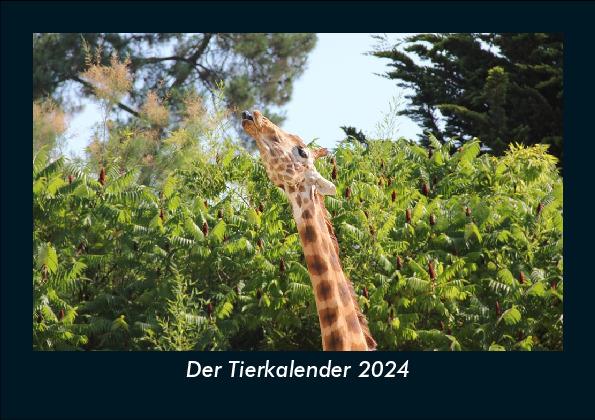 Naptár/Határidőnapló Der Tierkalender 2024 Fotokalender DIN A5 