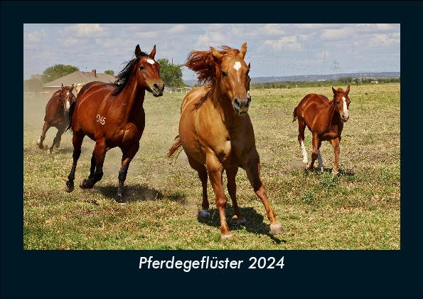 Naptár/Határidőnapló Pferdegeflüster 2024 Fotokalender DIN A5 