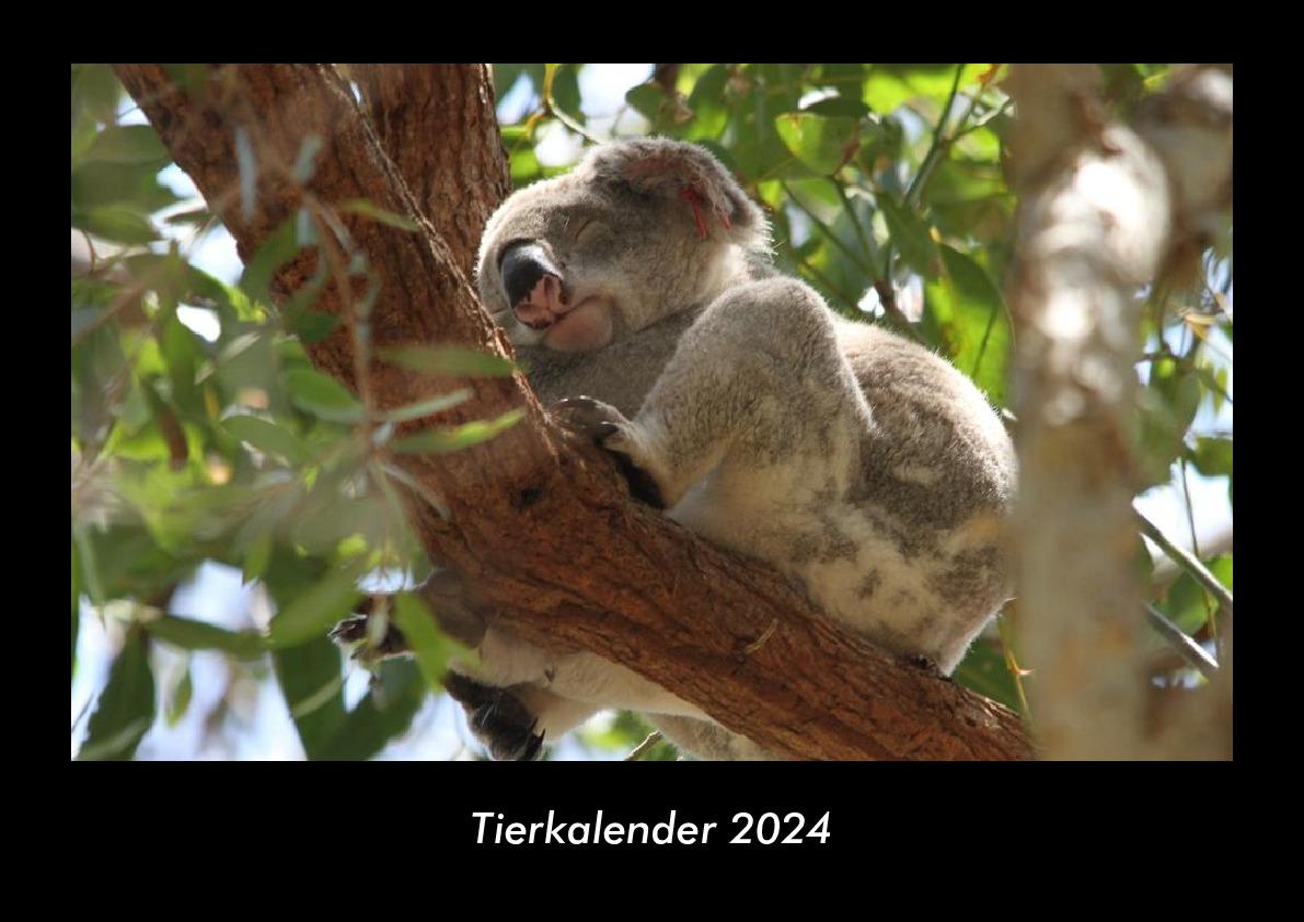Kalendář/Diář Tierkalender 2024 Fotokalender DIN A3 