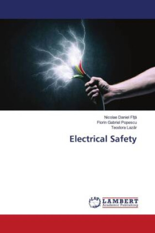 Carte Electrical Safety Florin Gabriel Popescu