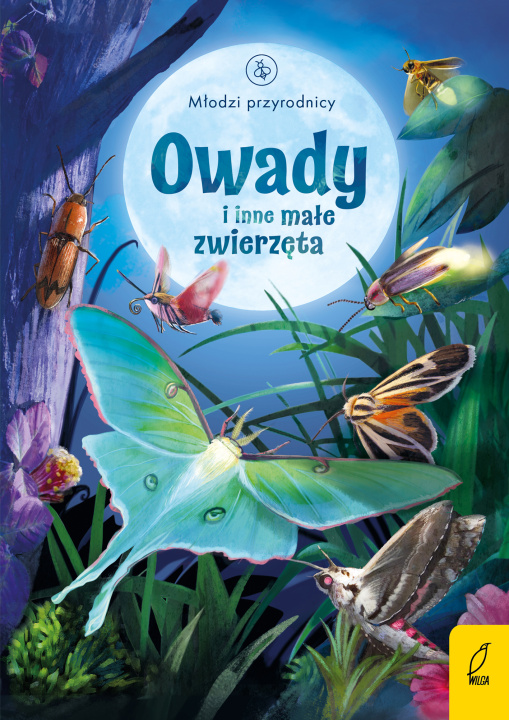 Kniha Owady i inne małe zwierzęta Bone Emily