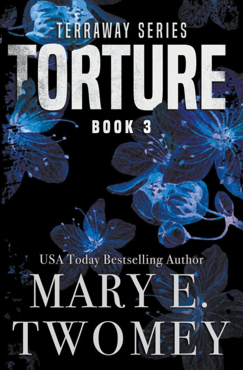 Knjiga Torture Mary E. Twomey