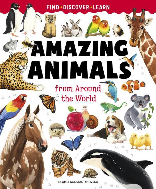 Kniha Big Book of Amazing Animals Clever Publishing